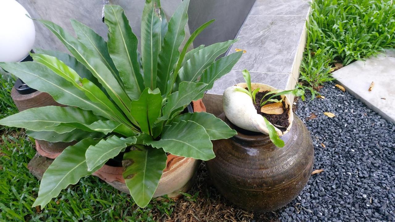 Marin' S Home تالانغ المظهر الخارجي الصورة